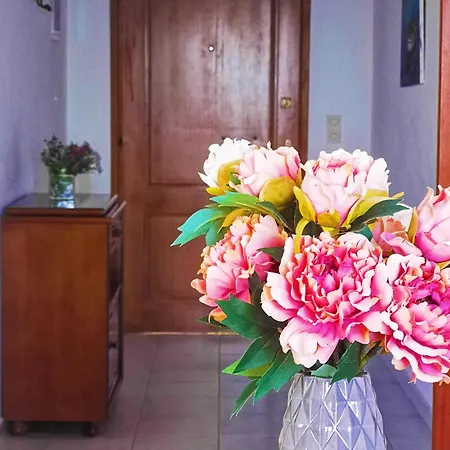Irene Apartament Nydri (Lefkada)
