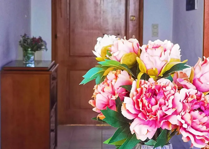 Irene شقة نيدري